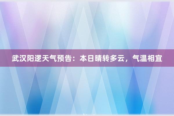 武汉阳逻天气预告：本日晴转多云，气温相宜
