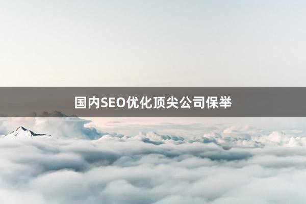 国内SEO优化顶尖公司保举