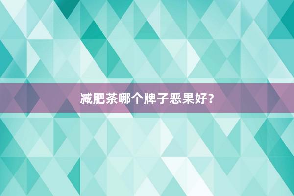 减肥茶哪个牌子恶果好？