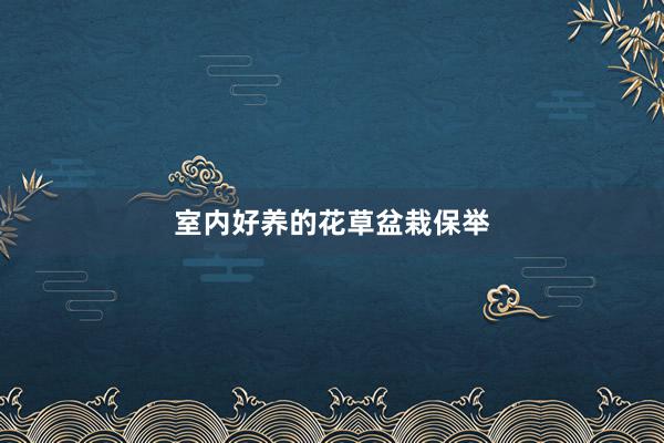 室内好养的花草盆栽保举