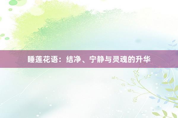 睡莲花语：结净、宁静与灵魂的升华
