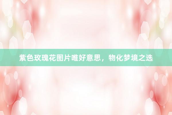 紫色玫瑰花图片唯好意思，物化梦境之选
